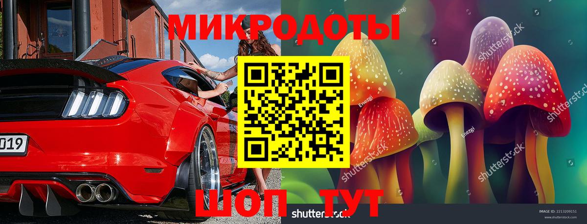 Галлюциногенные грибы прущие грибы Слободской